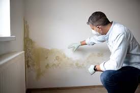 Crisfield, MD Mold Inspection Company